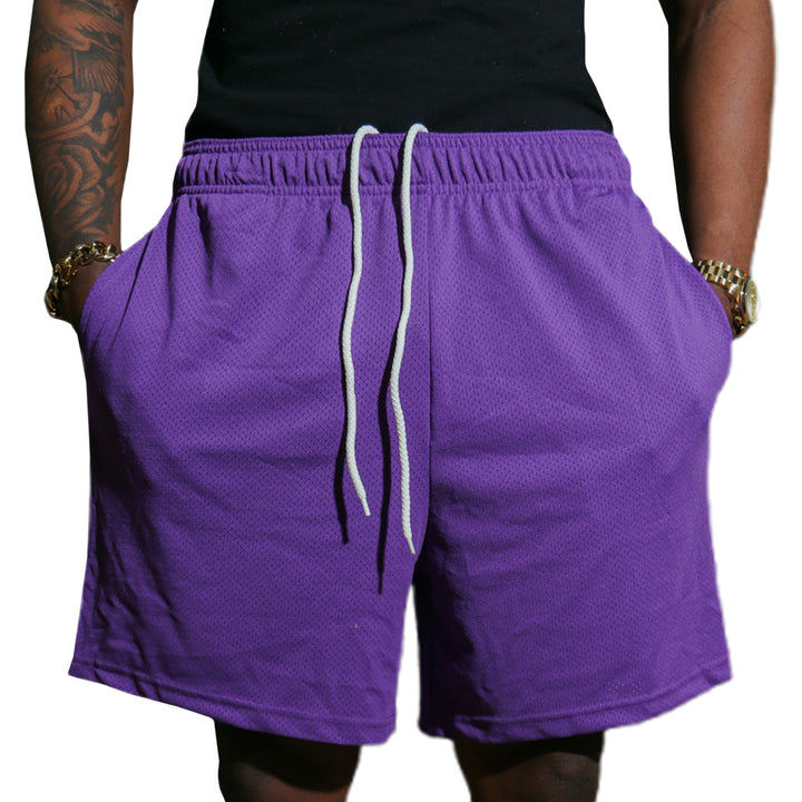 Baby Pink Mesh Shorts