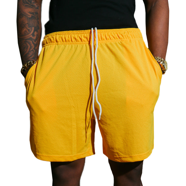 Baby Pink Mesh Shorts