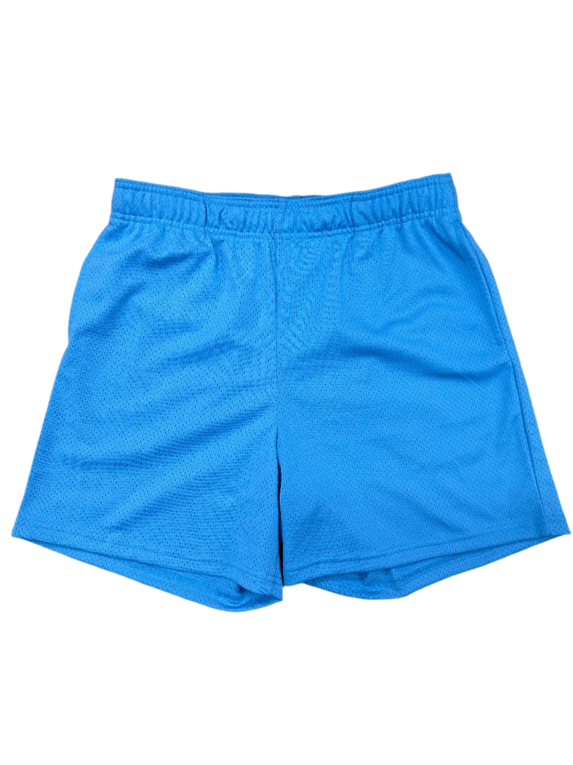 Blue Mesh Shorts