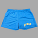 Sky Blue Mesh Shorts (S / Sky Blue) Code: 78082